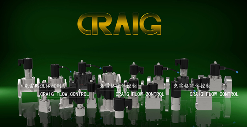 CRAIGֱ(dng)ʽ늴y